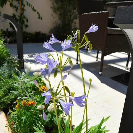 Ibella Boutique Bed & Breakfast